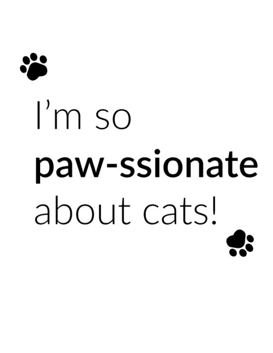 Iâm so paw-ssionate about cats!