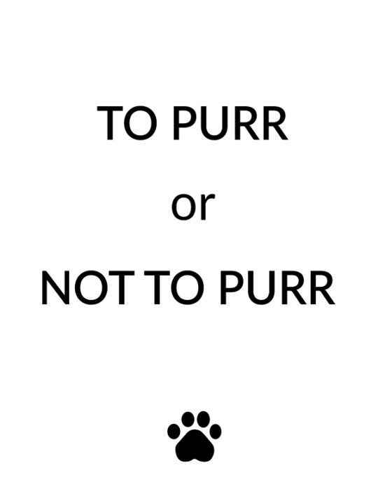 To purr or not to purr