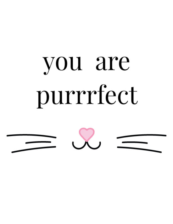 You are purrrfect