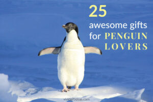 25 Unique Gift Ideas for Penguin Lovers