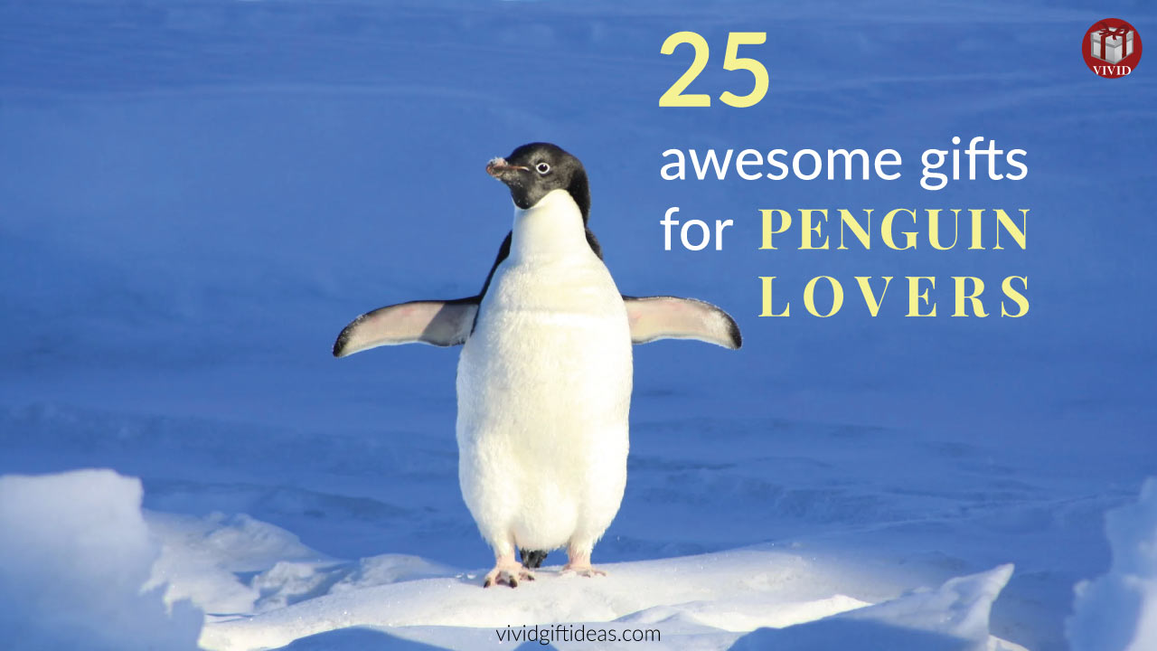 25 Unique Gift Ideas for Penguin Lovers