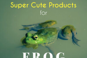26 Unique Gift Ideas for Frog Lovers in Your Life