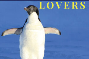 25 Unique Gift Ideas for Penguin Lovers