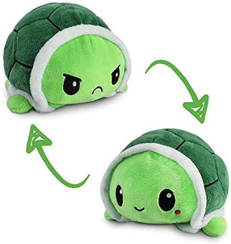 cute turtle plushie