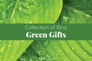 Green Colored Gifts