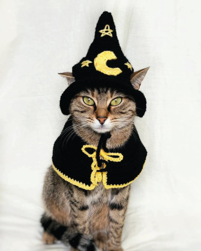 Wizard Costume for Pets