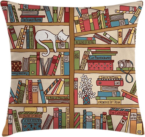 Books and cat pillow case